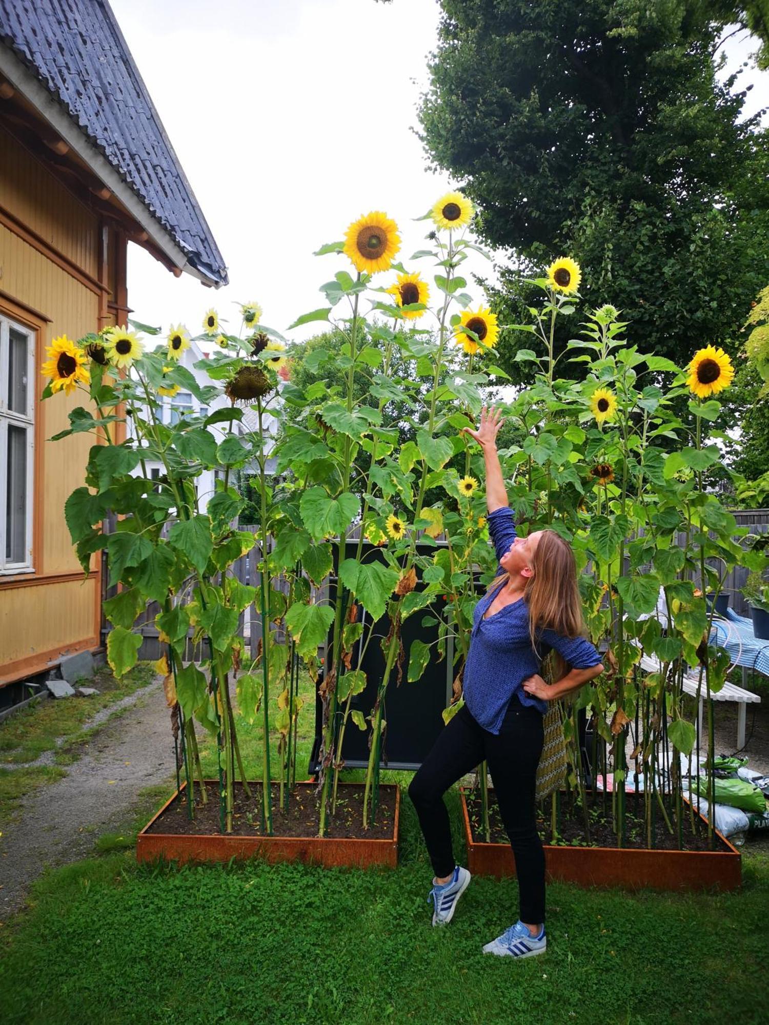 Fredrikstad Cicignon, Peaceful But Central With Garden, Parking And Long Stay Facilities Kültér fotó